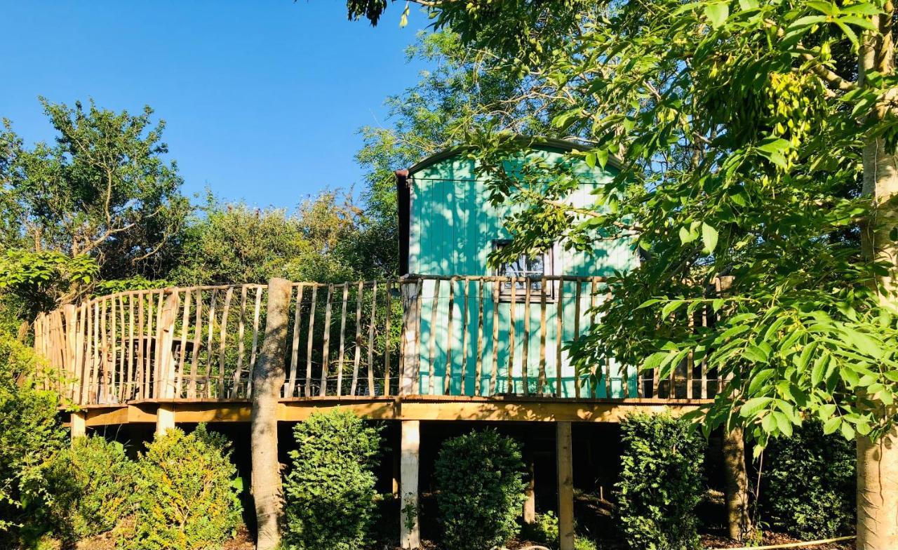 Lapin Cottage Long Bredy Exterior photo